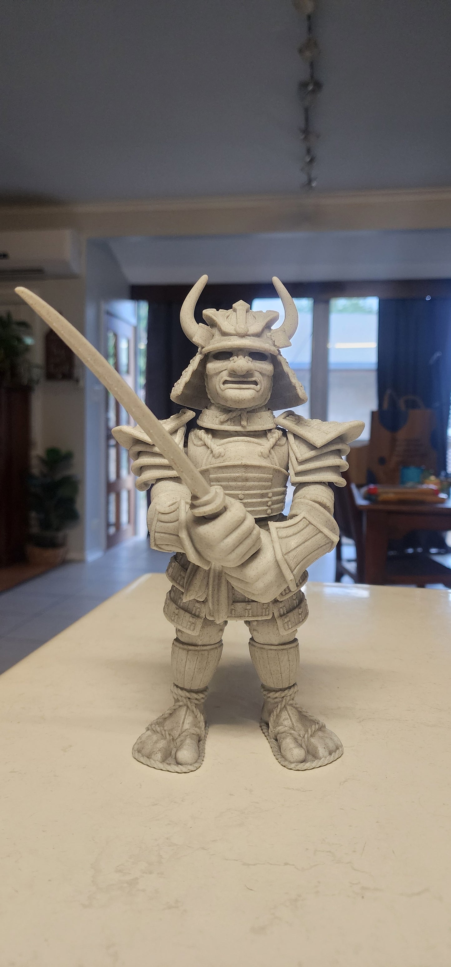 Samurai Warrior