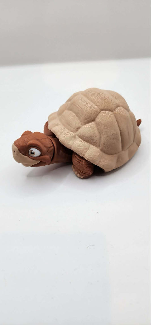 'Harry' The Desert Tortoise