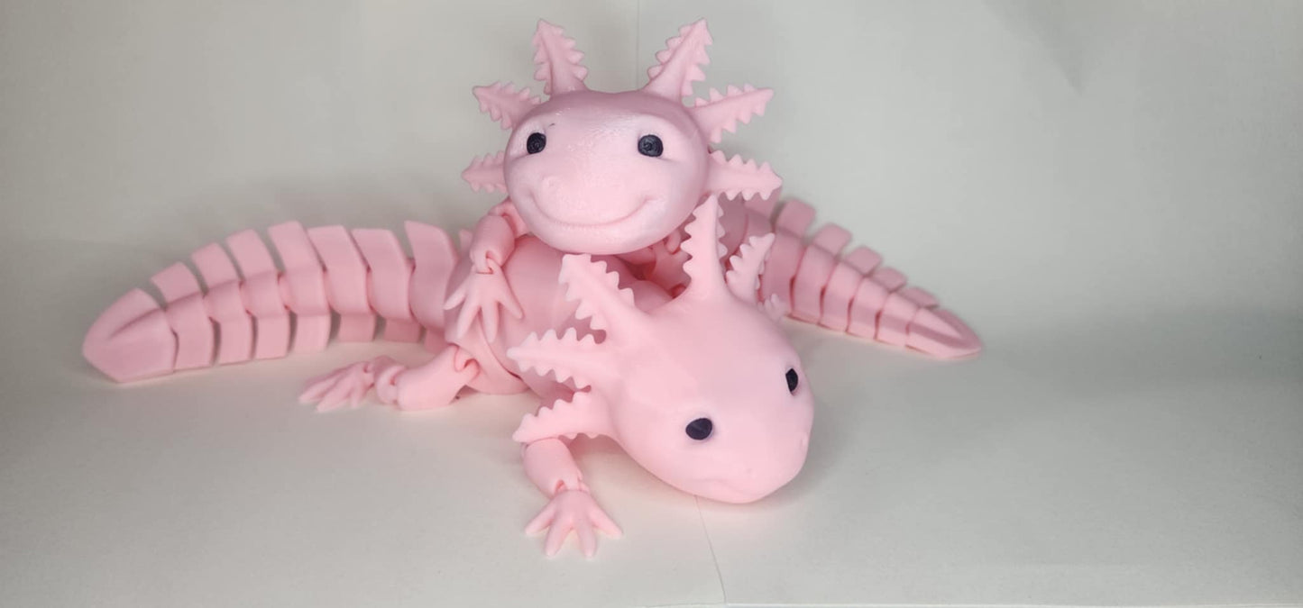 'Axel' The Axolotl