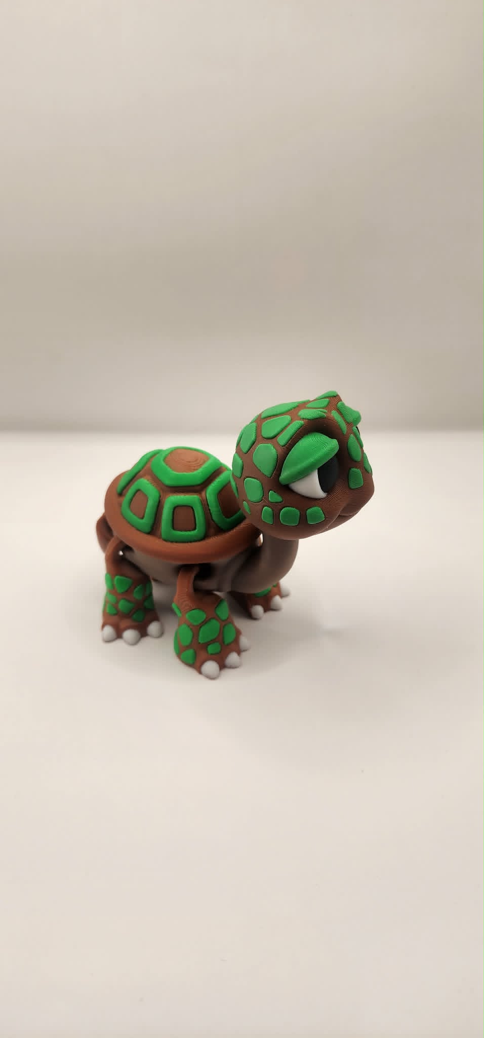 'Spud' The Turle