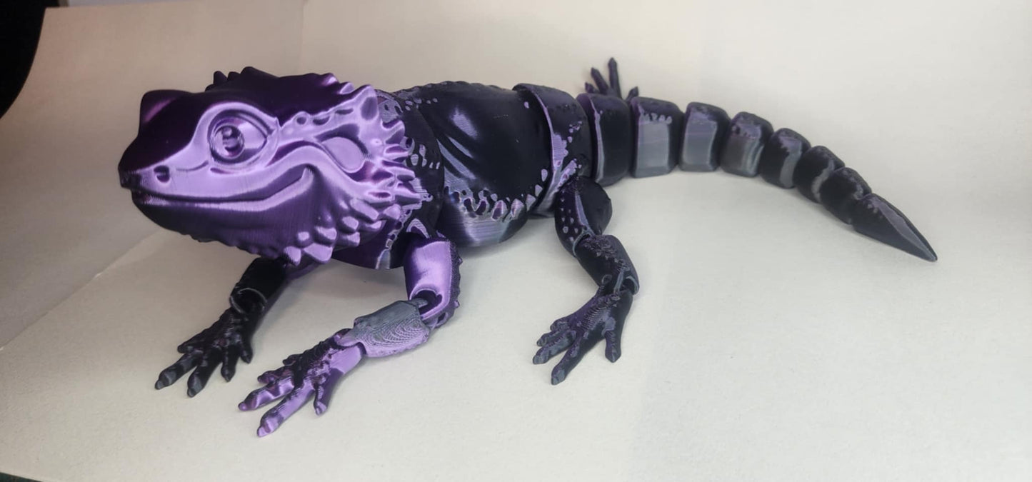 'Bazza' The Bearded Dragon