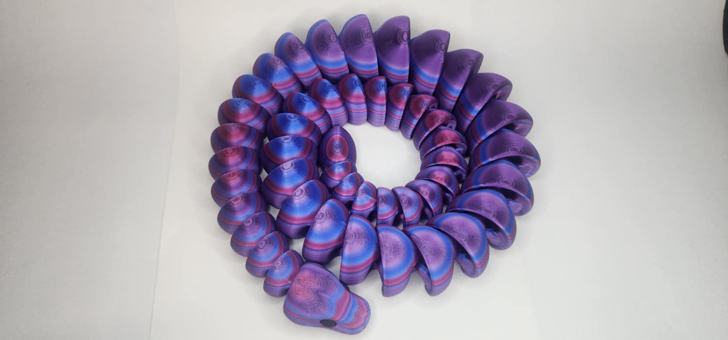 'Berny' The Ball Python