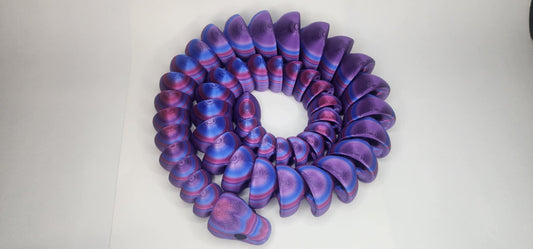 'Berny' The Ball Python