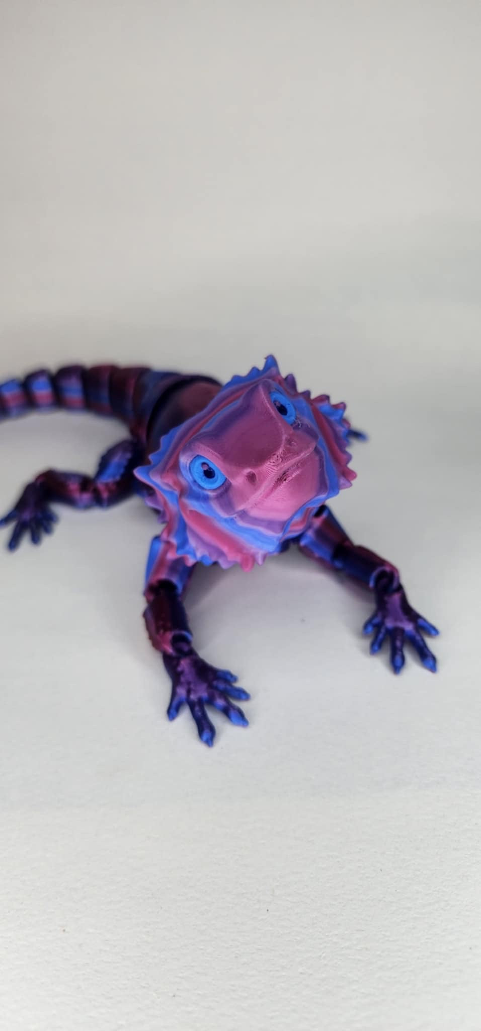 'Bazza' The Bearded Dragon