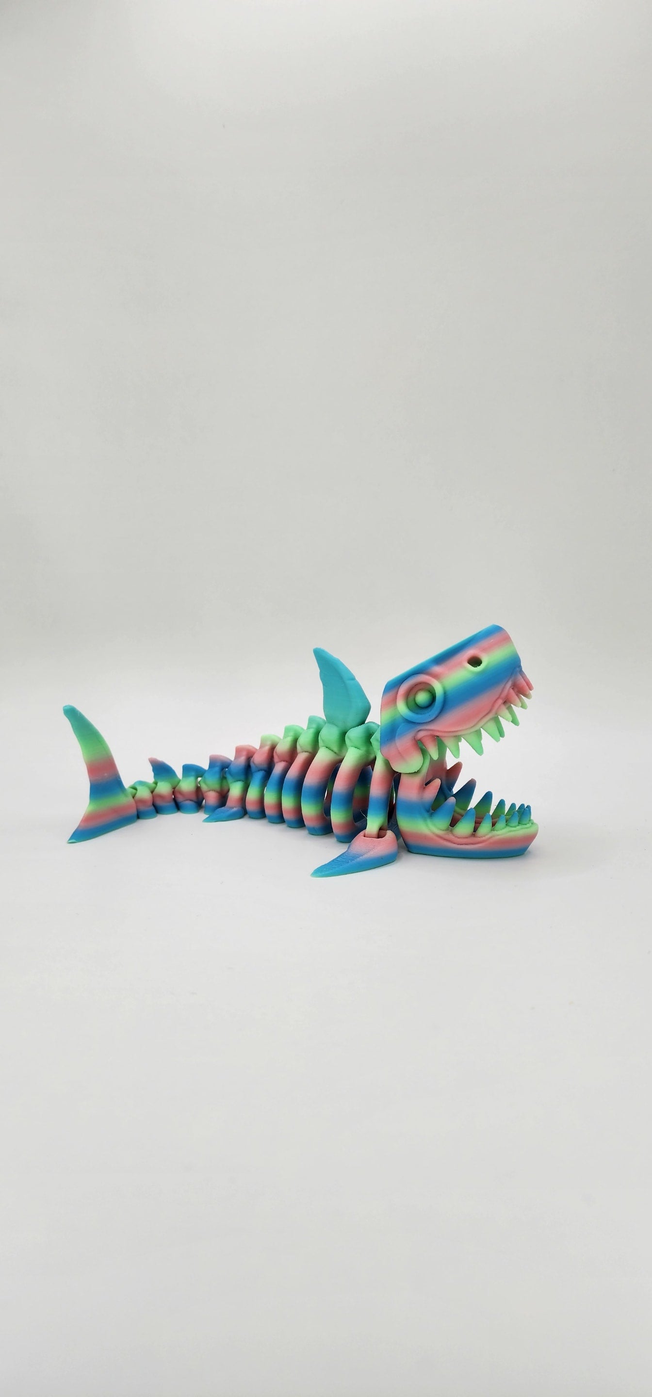 'Bruce' The Skeleton Shark