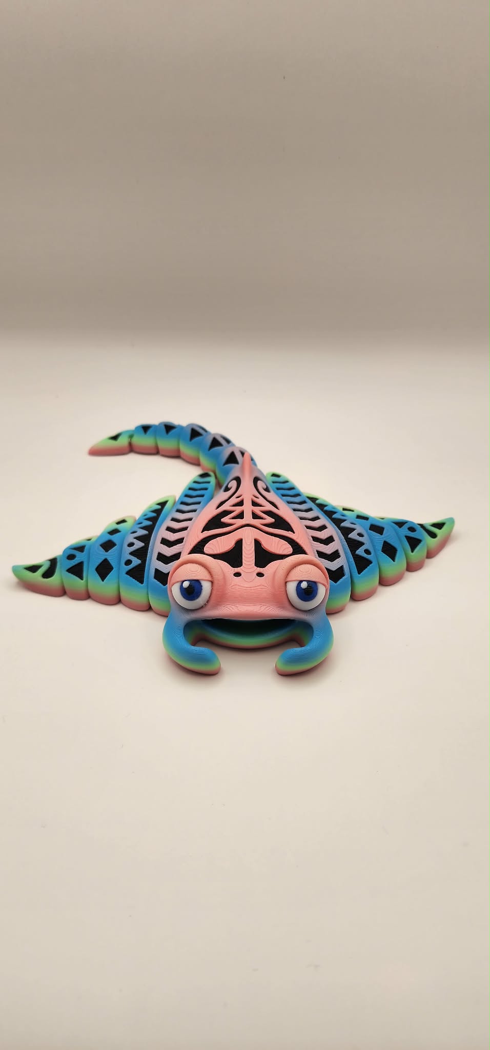 ‘Raymond’ The Tattooed Manta Ray