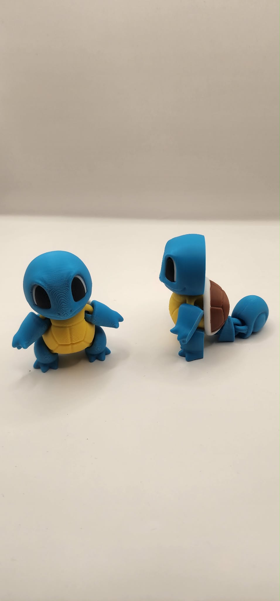 Shell Turtle