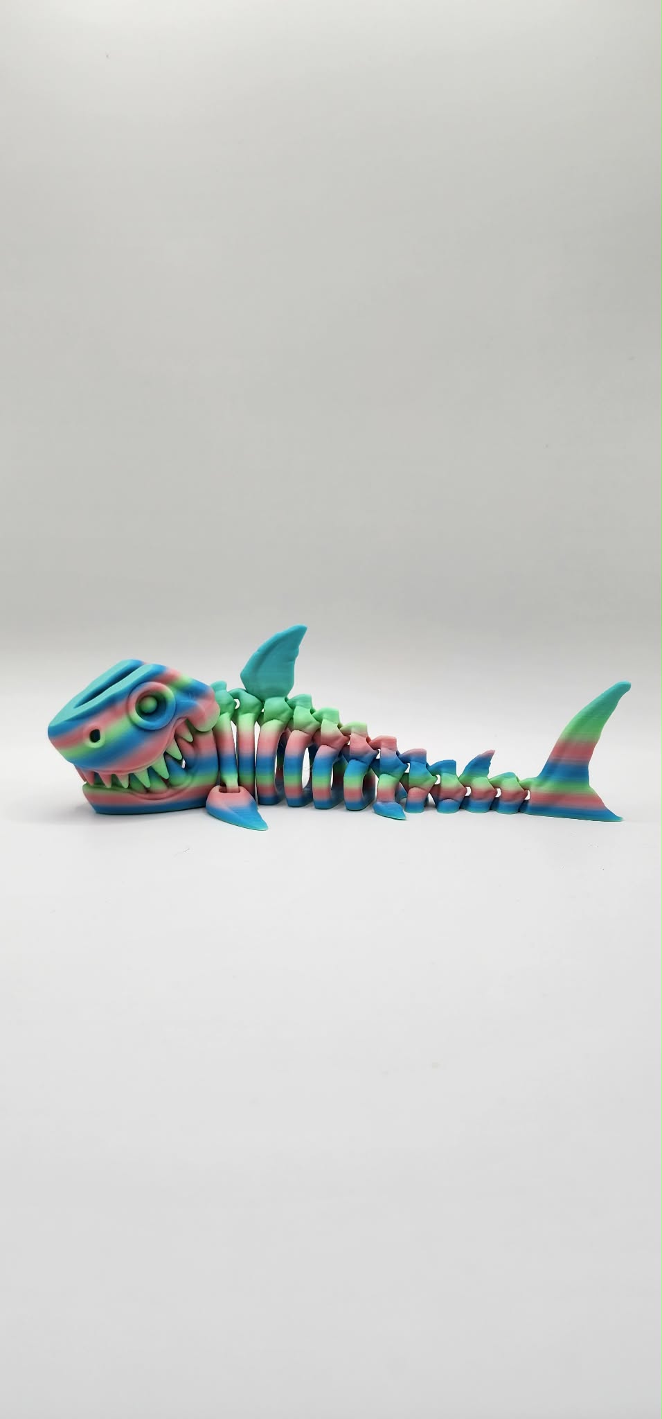 'Bruce' The Skeleton Shark