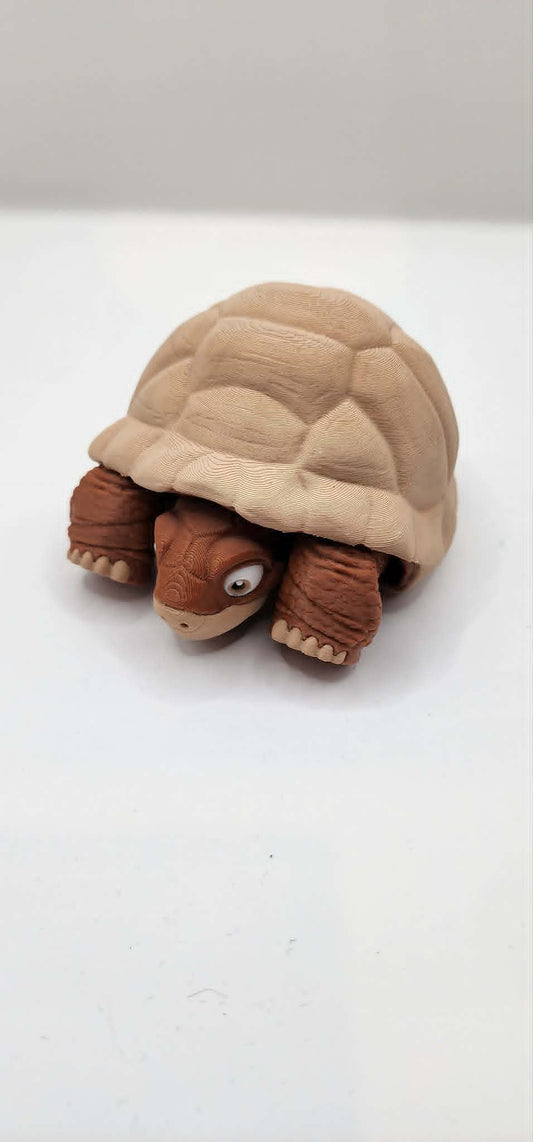'Harry' The Desert Tortoise