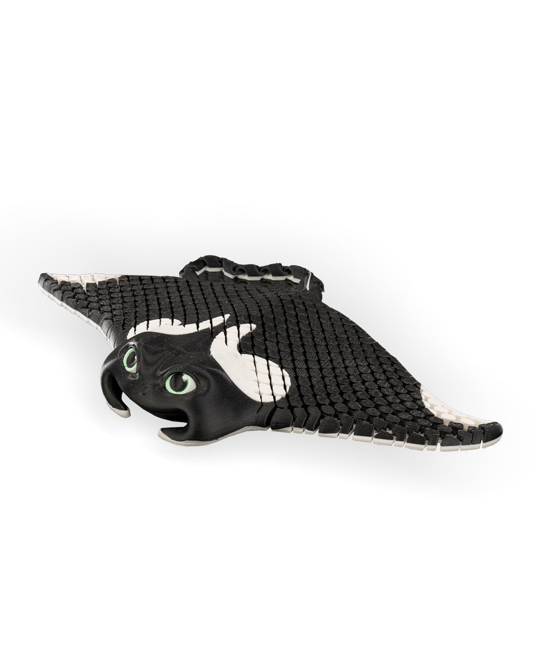 'Manny' The Manta Ray