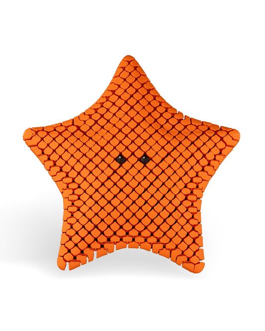 'Betsie' The StarFish