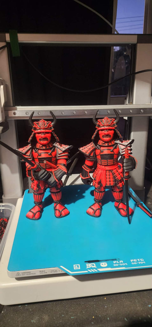 Samurai Warrior