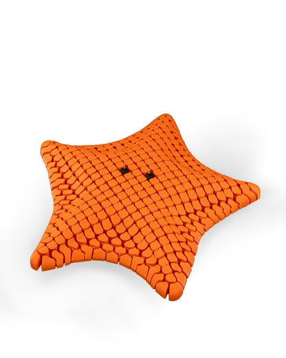 'Betsie' The StarFish