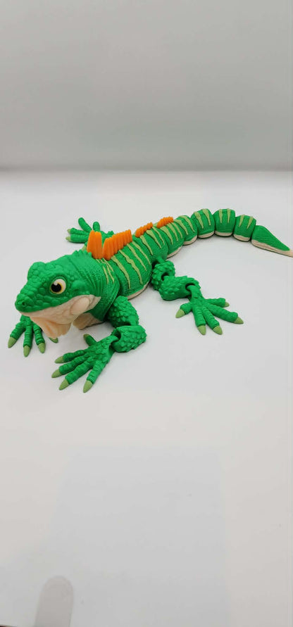 Iguana