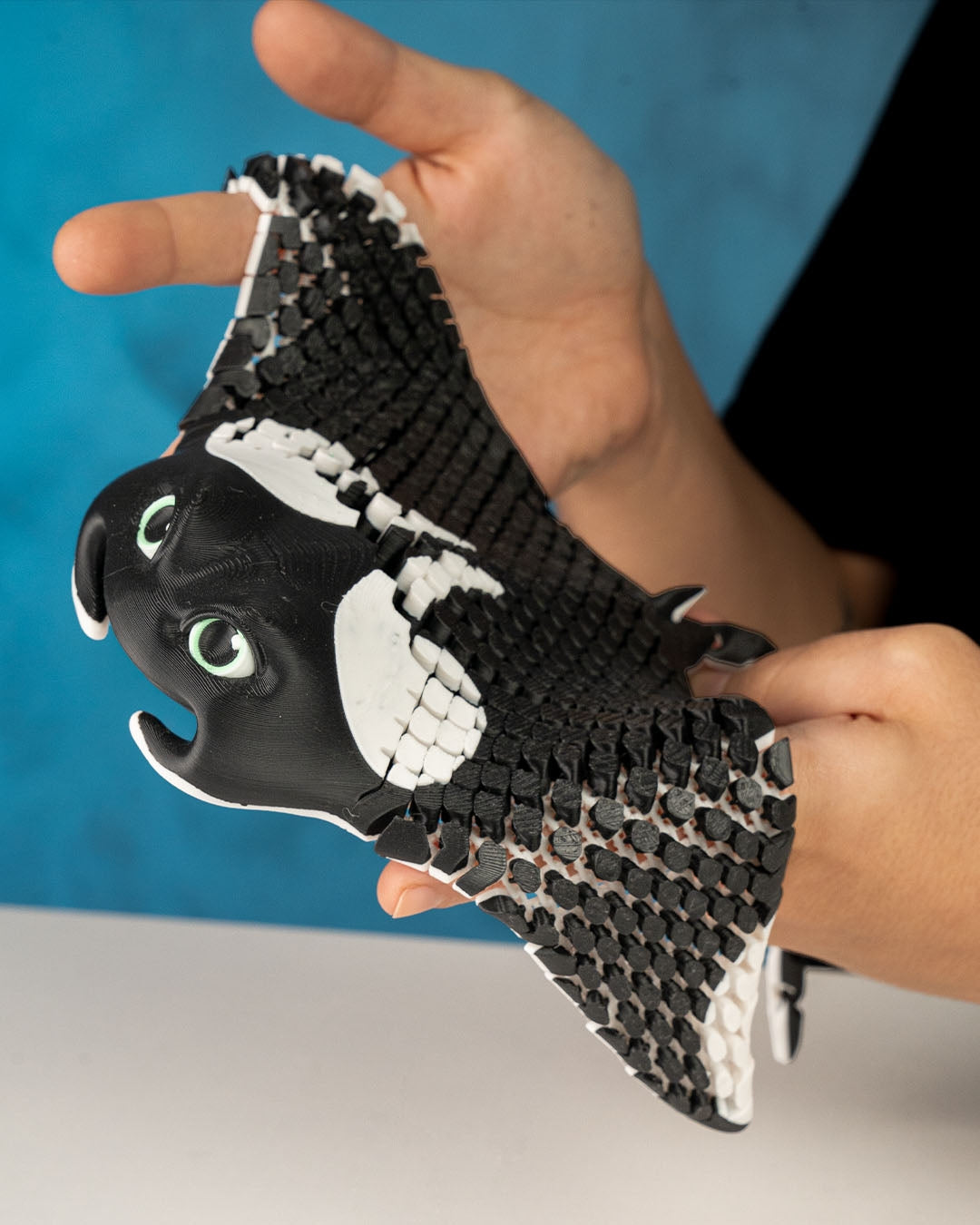 'Manny' The Manta Ray