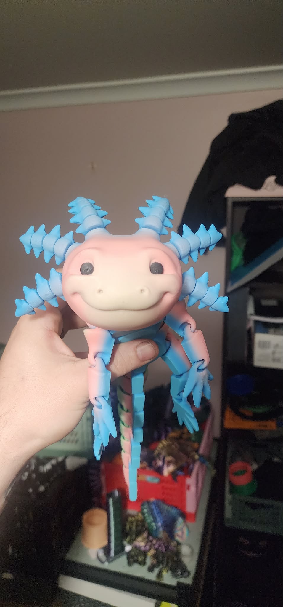 'Axel' The Axolotl