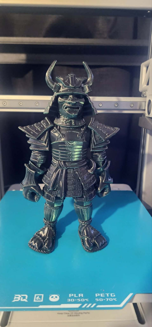 Samurai Warrior