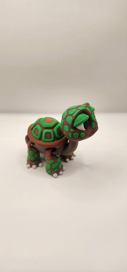 'Spud' The Turle