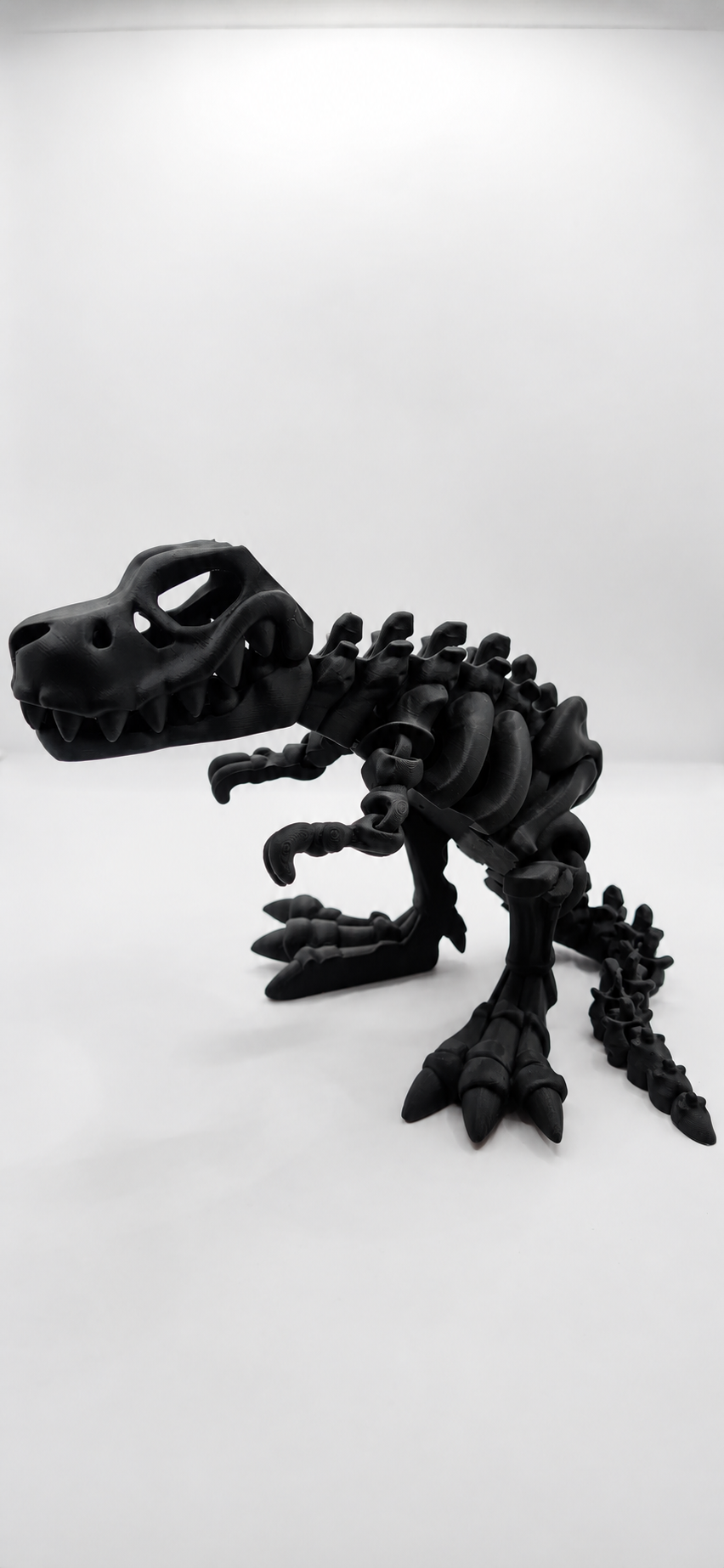 Skeleton T-Rex