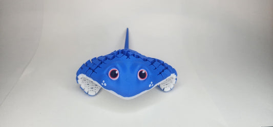 'Mr Ray' The Stingray