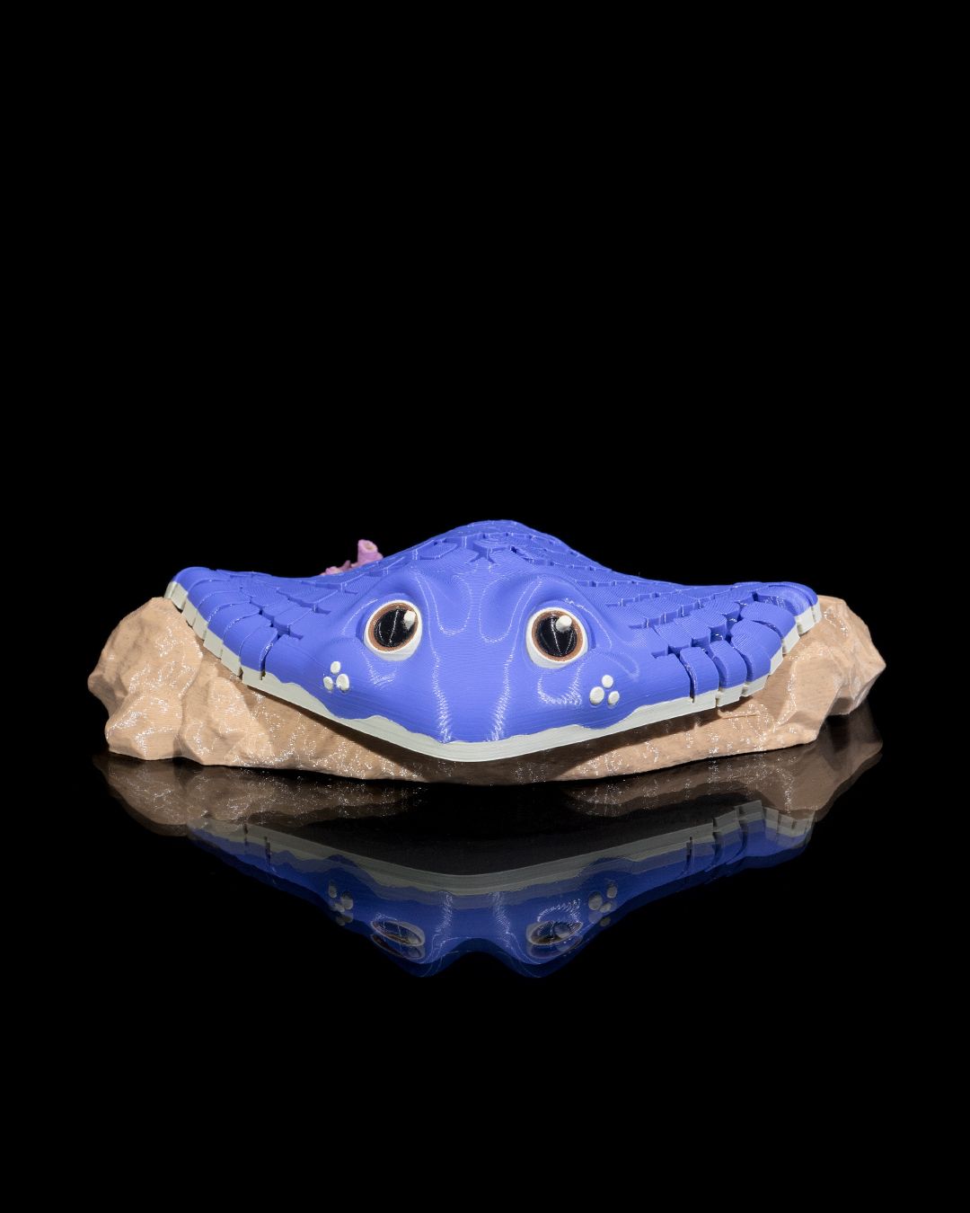 'Mr Ray' The Stingray