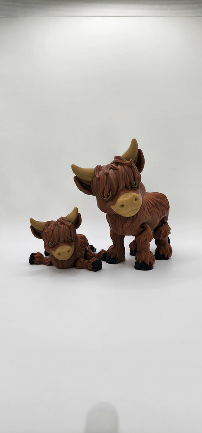 'Shaggs' The Highlander Cow