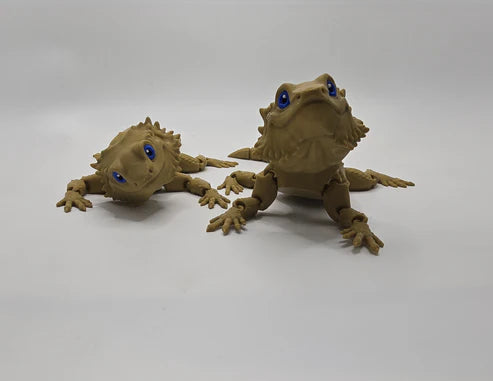 'Bazza' The Bearded Dragon