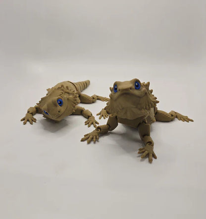 'Bazza' The Bearded Dragon