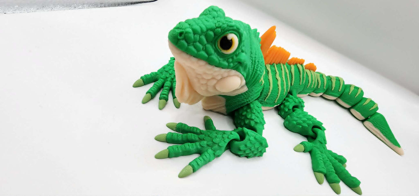 Iguana