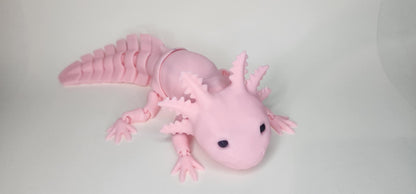 'Axel' The Axolotl