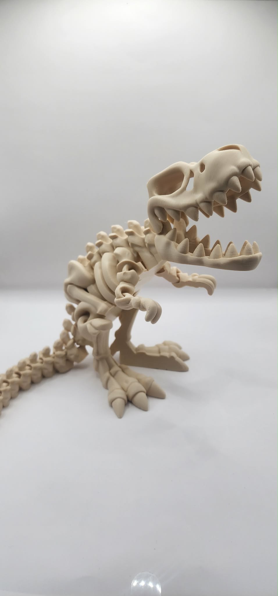 Skeleton T-Rex