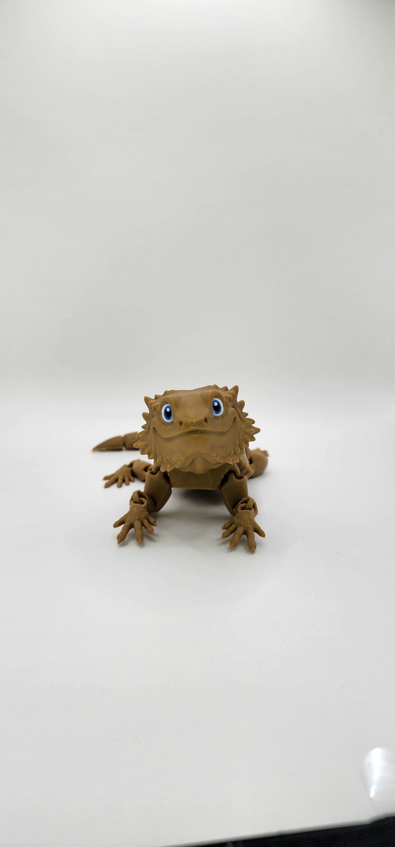 'Bazza' The Bearded Dragon