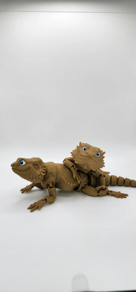 'Bazza' The Bearded Dragon