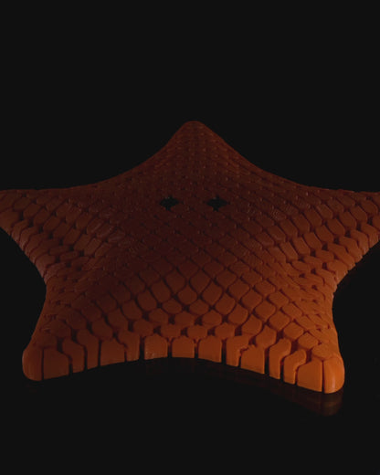 'Betsie' The StarFish